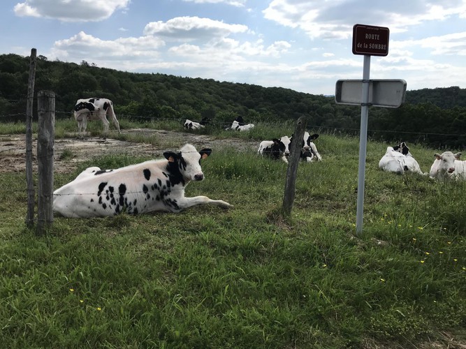 Location Gîtes de France Le Rouzeyrol - Réf : 19G5344
