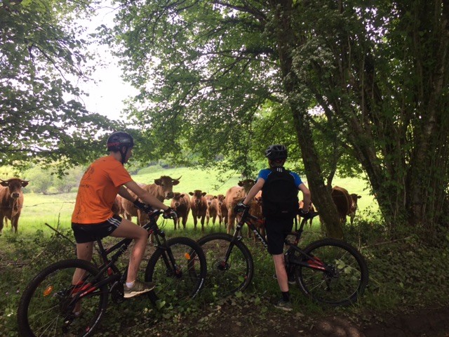 VTT Vézère Passion (Station Sports Nature - Pays d'Uzerche)