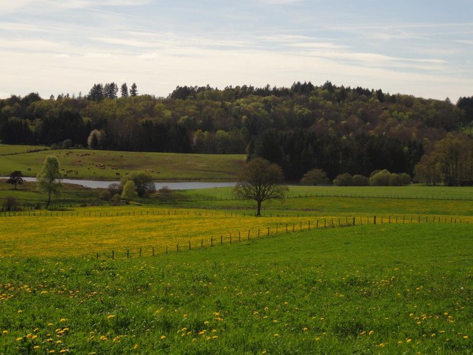Location Gîtes de France - Réf : 19G1156