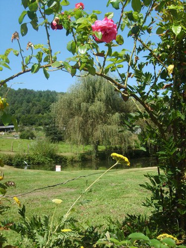 Location Gîtes de France Gîte du Chassang - Réf : 19G5183