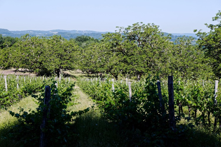 Location Gîtes de France Belleviste - Réf : 19G5023