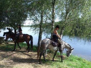 Randonnée Equestre pour Cavaliers Expérimentés