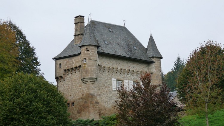 De feuilles en aiguilles